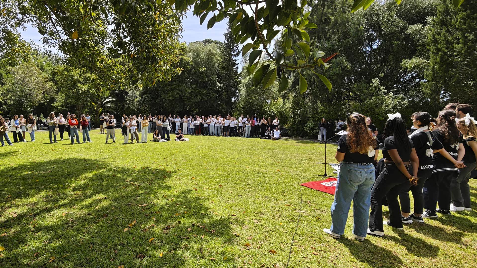 Tuna a atuar no jardim para o público